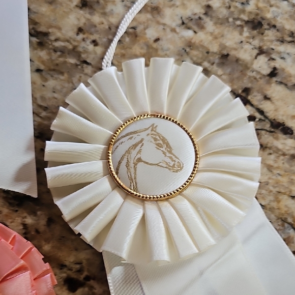 5 Vintage 1966 1967 equestrian Santa Fe horse show award ribbons rosettes - Picture 9 of 14
